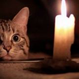 графік вимкнень електро