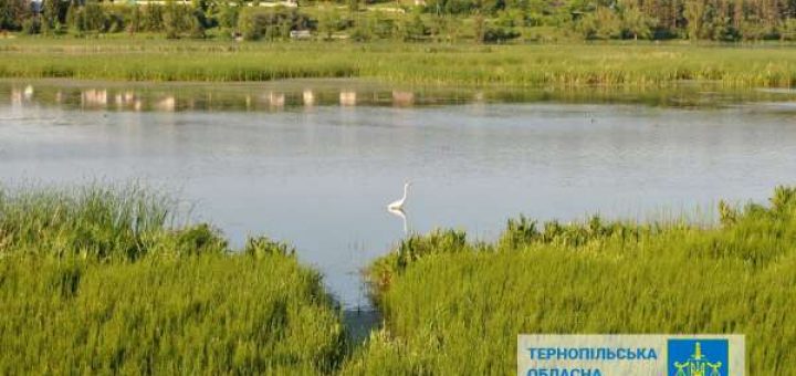 Заказник "Серетський"