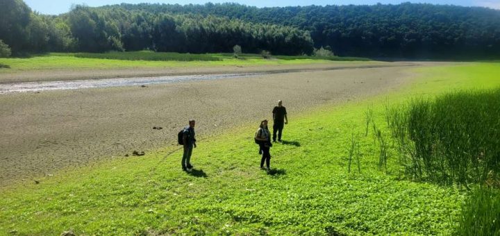 річка дністер водосховище канйон