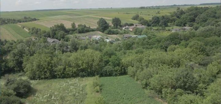 Село Босири, Чортківський район, Тернопільська область. Суспільне Тернопіль