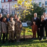 акція посиади іменне дерево