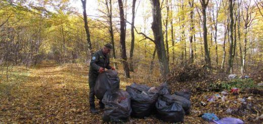 активісти прибипрали Дністер канйон