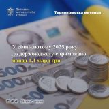 Тернопільська митниця бюджет