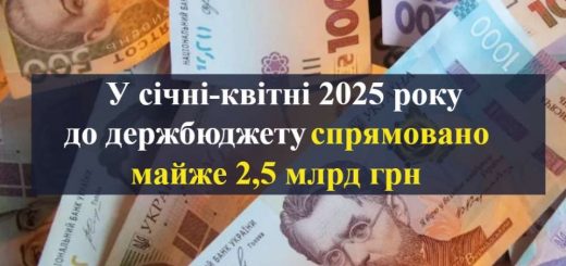 Тернопільска митниця спрямування бюджет