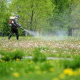 парки оброблятимуть Тернопіль кліщі