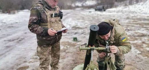 брати двійнята захищають країну війна