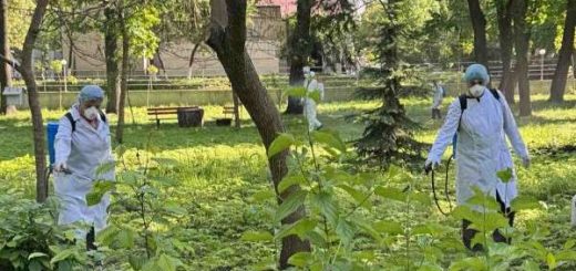 кліщі