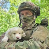 малюки собаки пес Полкан 105 бригада