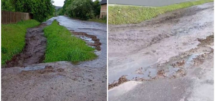 Саранчуки