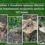 деревина