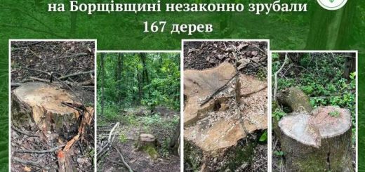 деревина