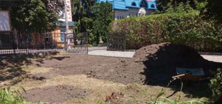 вирубали калинові насадження