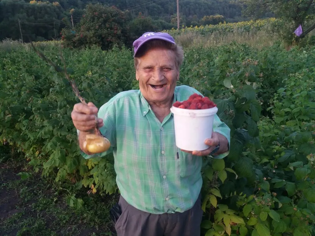 Карміне Терраччяно