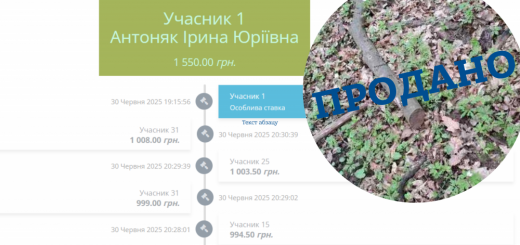 граб