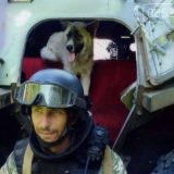 ветеран реабілітолог на війні