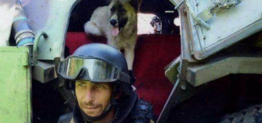 ветеран реабілітолог на війні