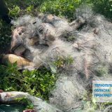 вилов риби