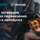 Кабмн
