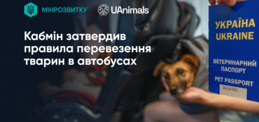 Кабмн