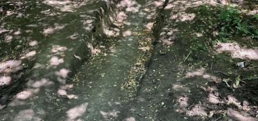 реконструкція байк-парку Співучка