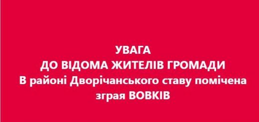 микулинецька громада вовки попередження