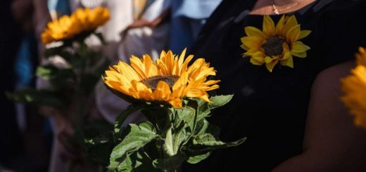 пам'ять полеглі захисники ЗУНУ вшанування
