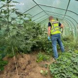 торгували наркотиками банда Тернопільщина