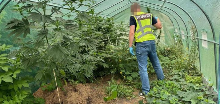 торгували наркотиками банда Тернопільщина