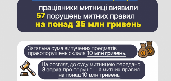 виявили митниця Порушень митних правил