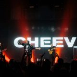 1-CHEEV