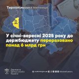 Тернопільська митниця скерувала до державної скарбниці