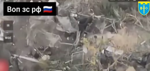 ворог війна вийшов з укриття