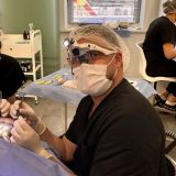 Дивак трансплантація волосся