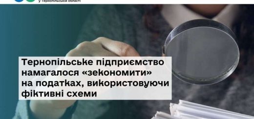підприємоство податки схеми