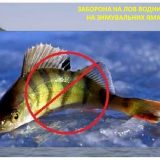 зимувальні ями риба вилов