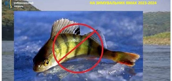 зимувальні ями риба вилов