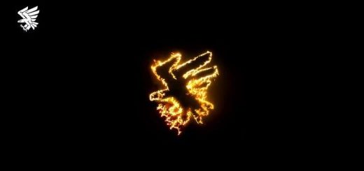 95 окремої десантно-штурмової Поліської бригади