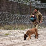 прикордонник військо