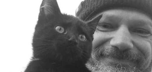 загинув кіт характерник Костишин