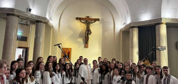 Зоринка виступ сенат Італія