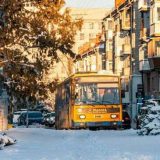 тролейбуси транспорт Тернопіль рух