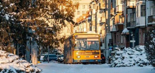 тролейбуси транспорт Тернопіль рух