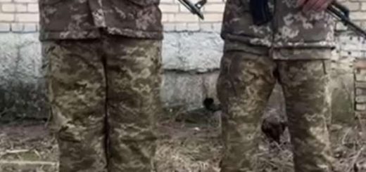 волонтерський штаб