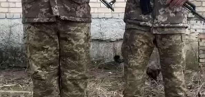 волонтерський штаб