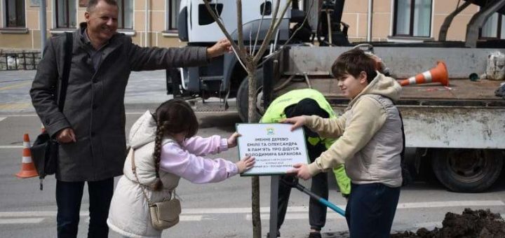 висадили катальпи бігнонієвидні та клени