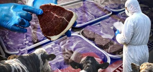 епідемія росія