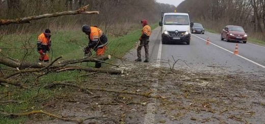 ремонт державних доріг