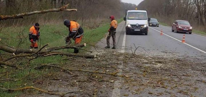 ремонт державних доріг