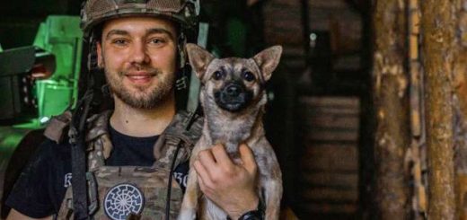 САУ Богдана 50 окрема артилерійська бригада