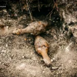 У полі на Тернопільщині виявили 17 гранат